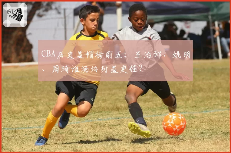 CBA历史盖帽榜前五：王治郅、姚明、周琦谁场均封盖更强？