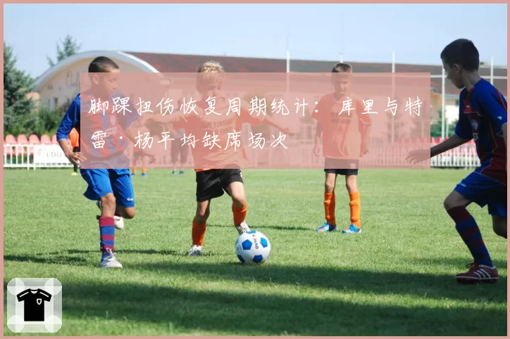 脚踝扭伤恢复周期统计：库里与特雷·杨平均缺席场次