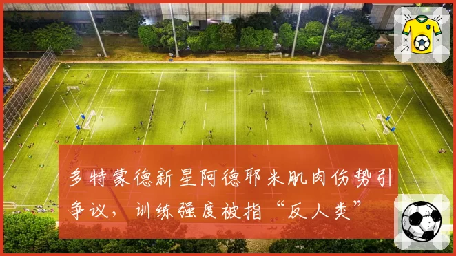 多特蒙德新星阿德耶米肌肉伤势引争议，训练强度被指“反人类”